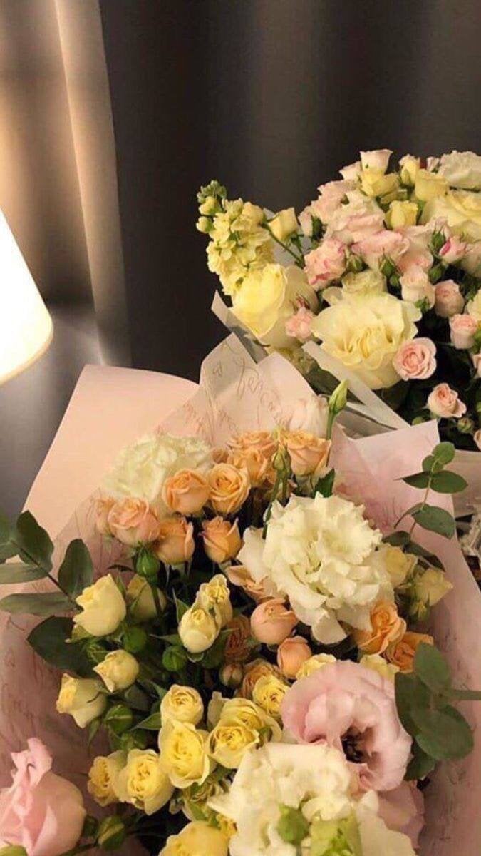 دلال قدير