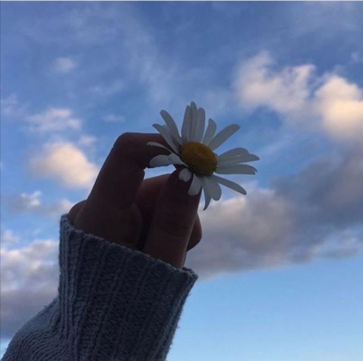 جنى المرعشي