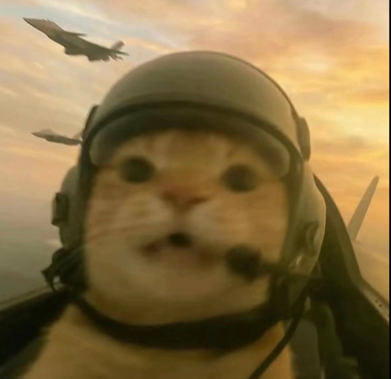 علي الاحمري