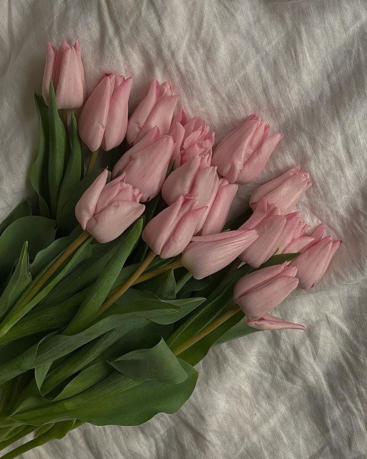 احمد العتيق