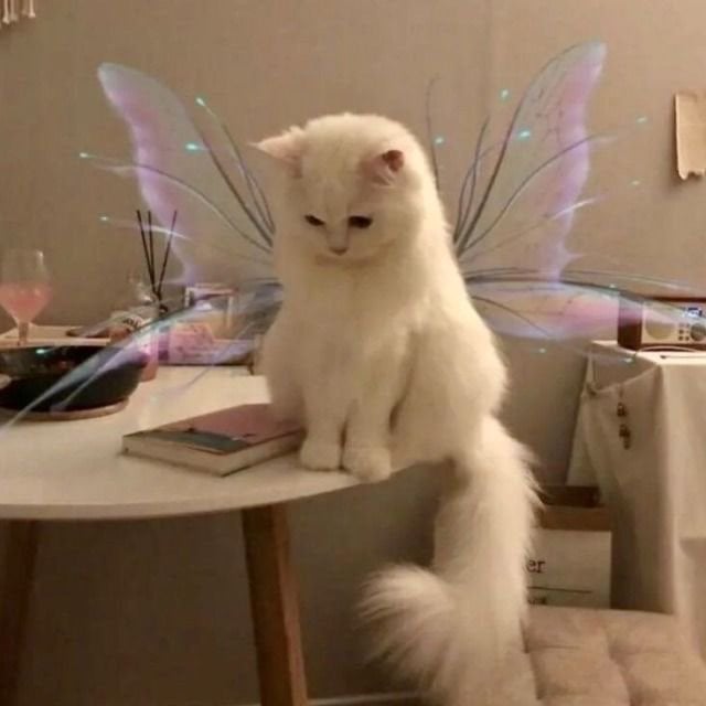 منيرة عبدالله