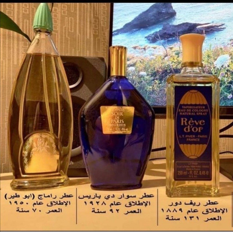 نورة العتيبي