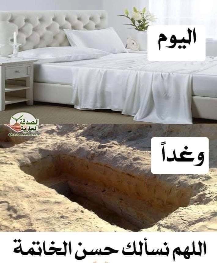 بندر خليفه السلمي السلمي