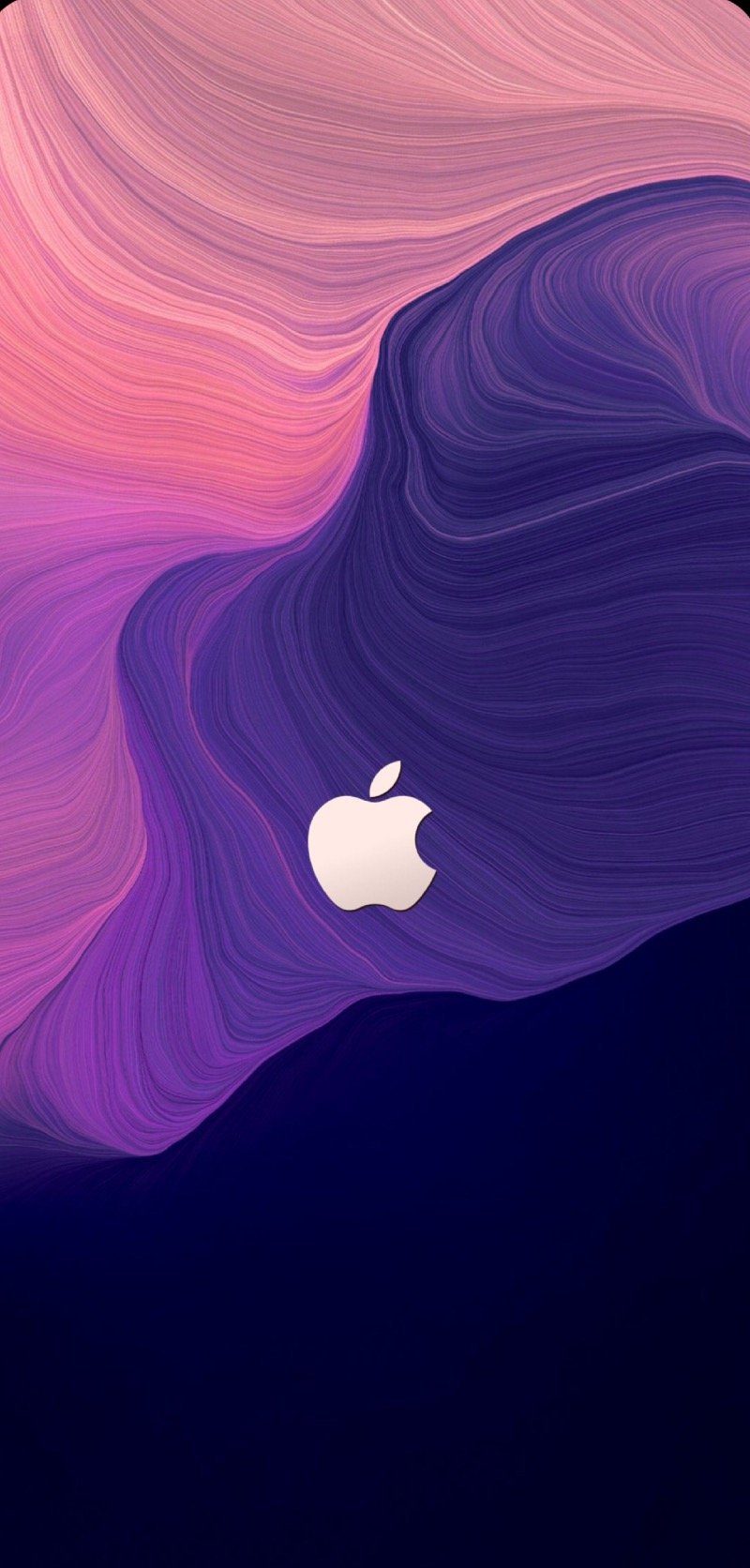 آلمها الغامدي