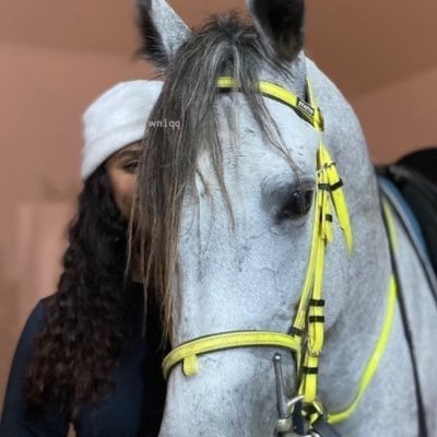 طيف العتيبي