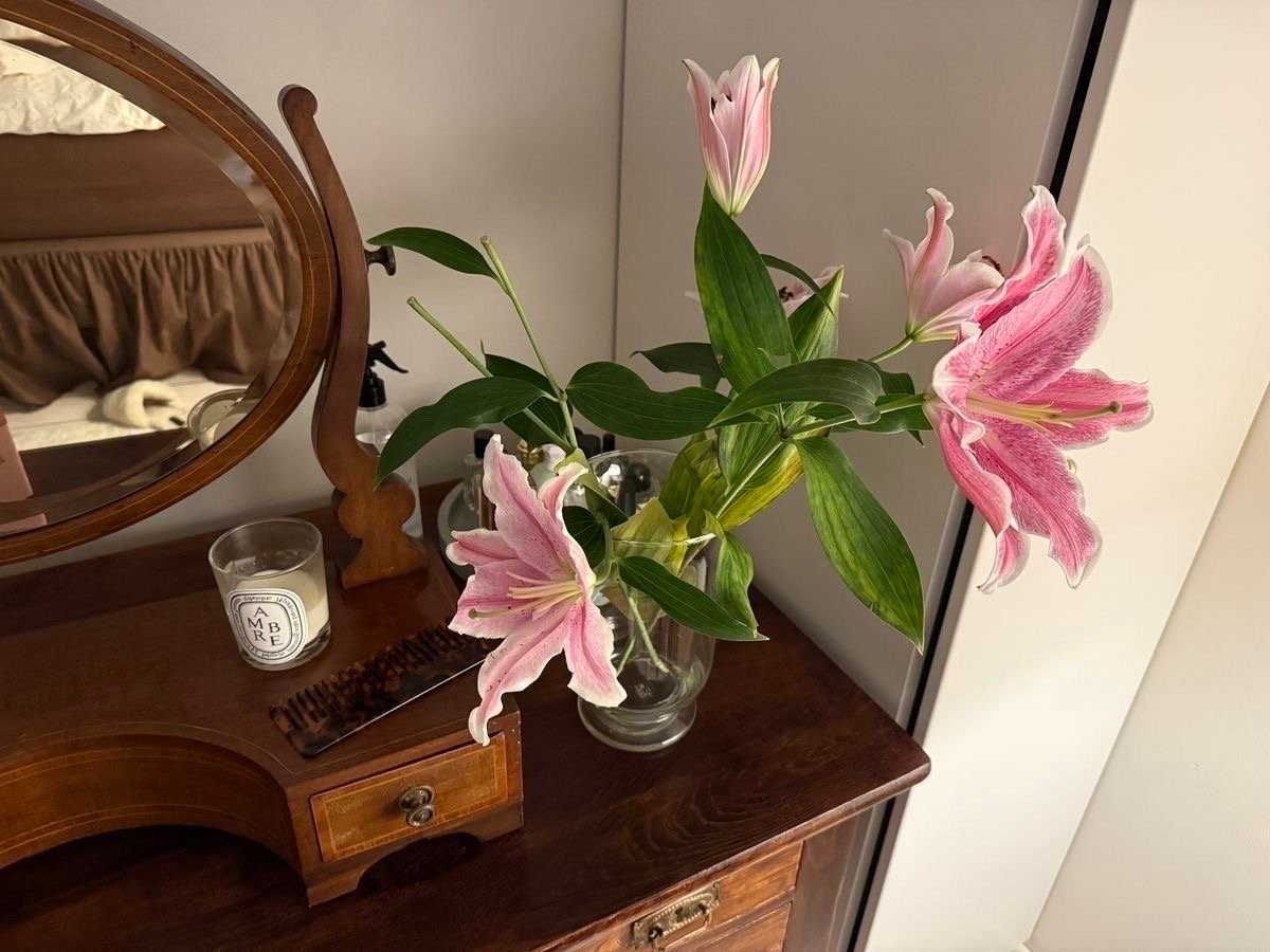 أمـاني الهلالي