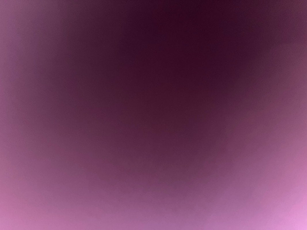عروب عادل