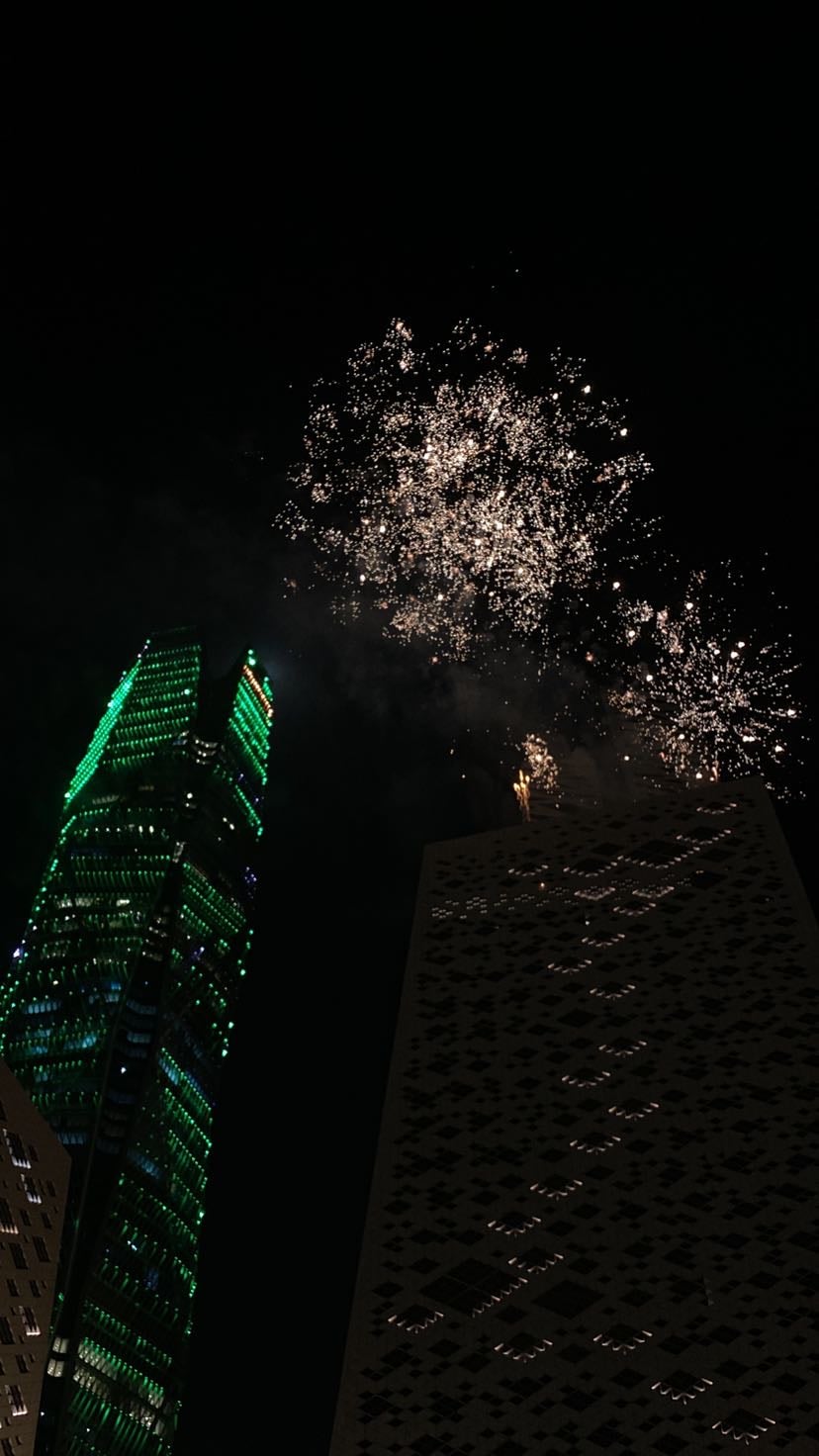 يوسف سلطان