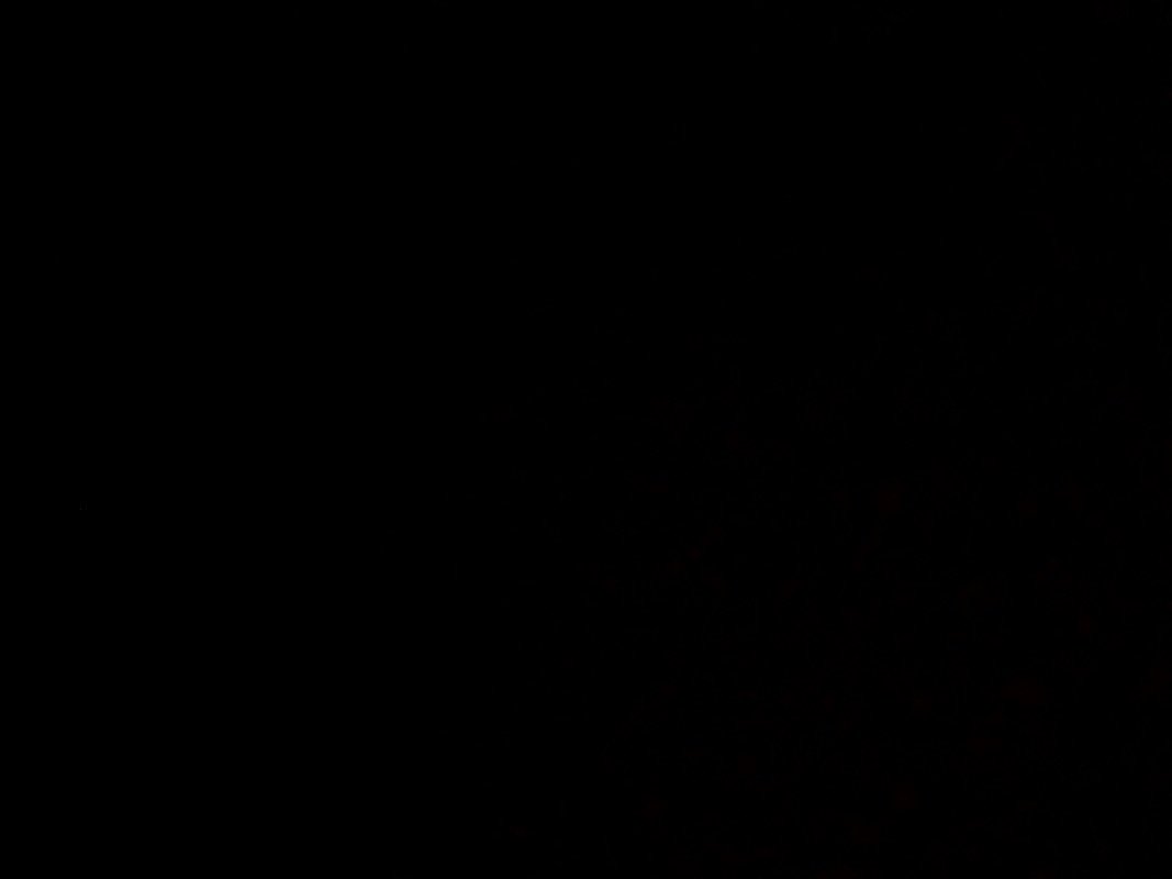 ريناد العلوي