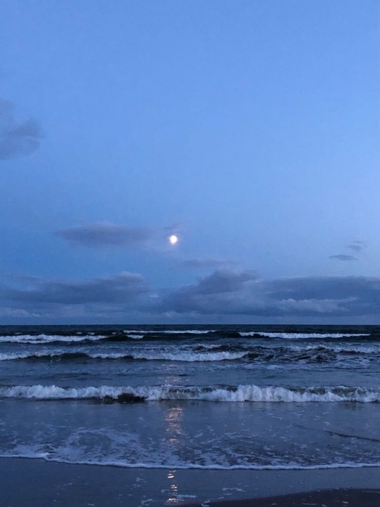 فاطمه عبدالرحمن