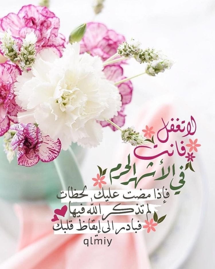 منيفه الشمري