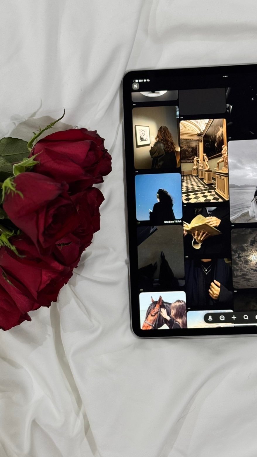 دلال الشيباني