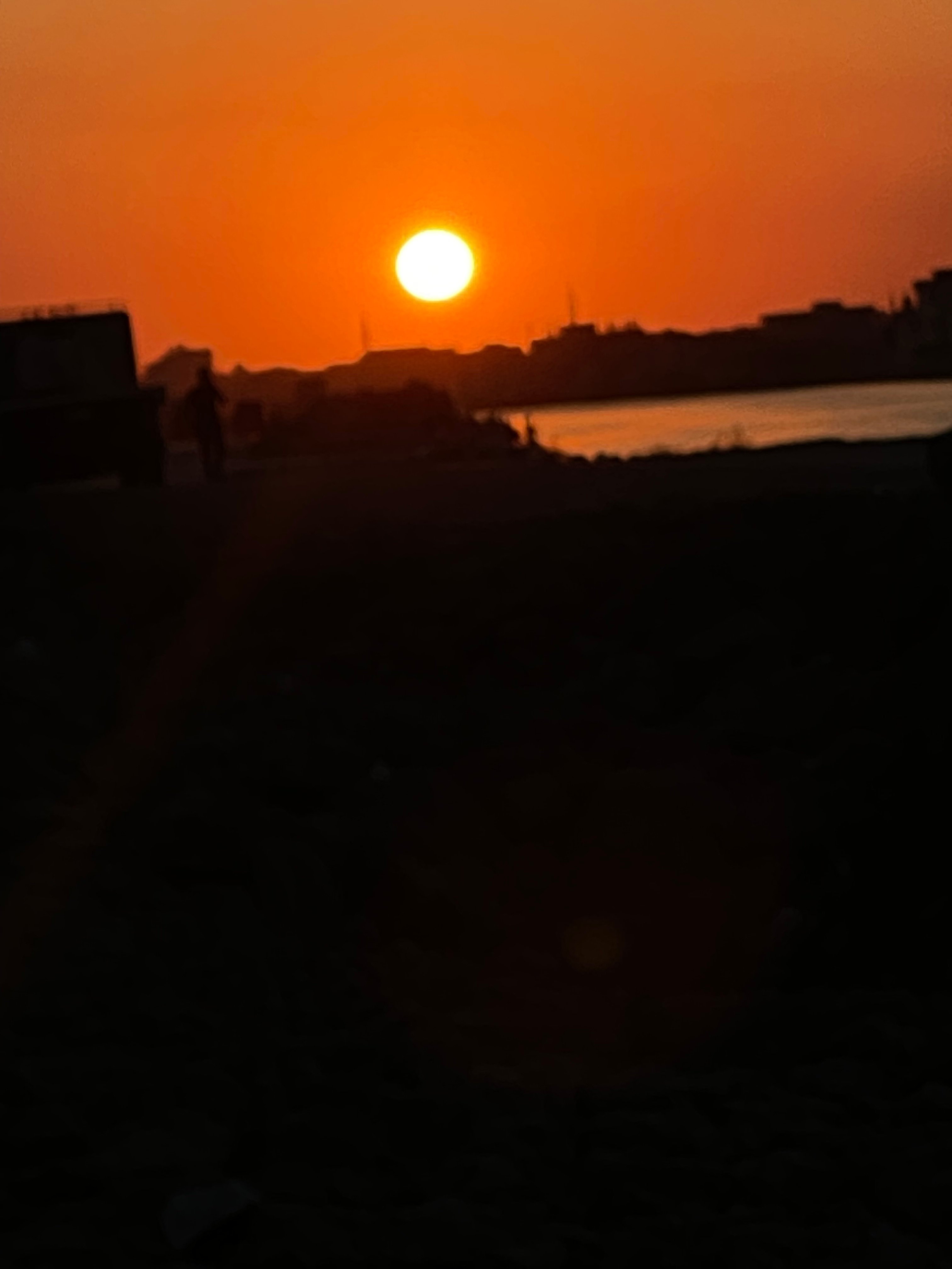 محمد تفاحه