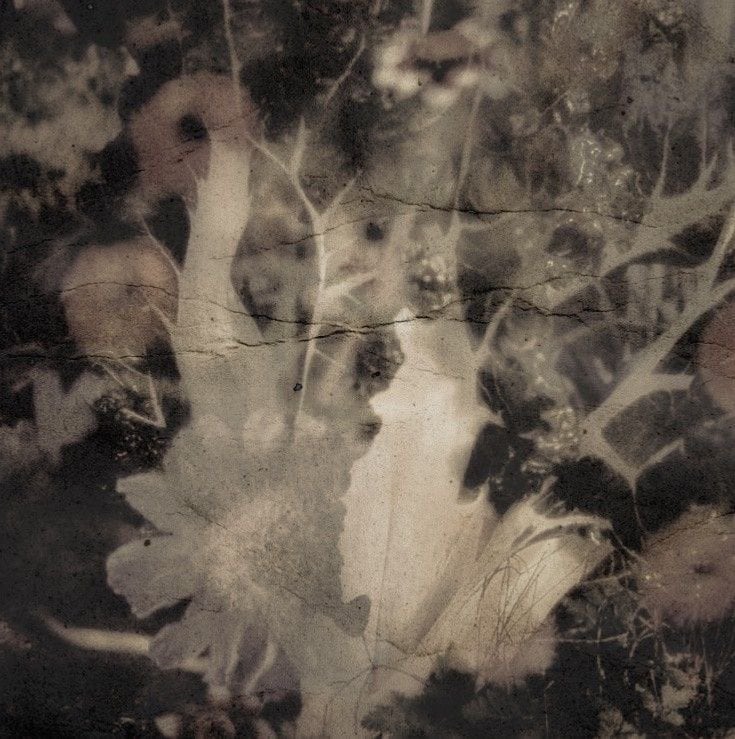 هديل البقمي