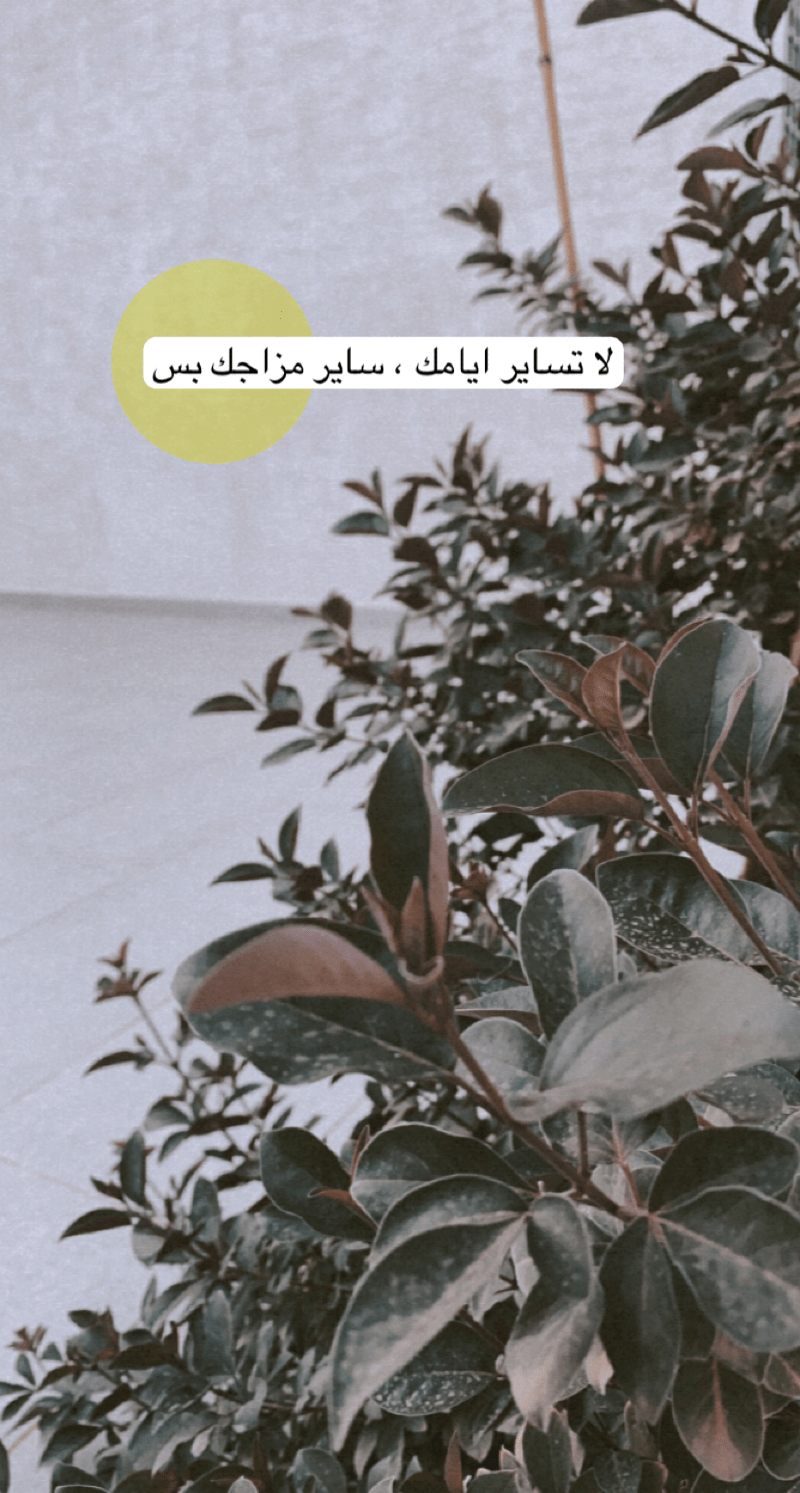 Haila Ebrahim