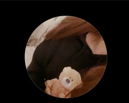 ريماس عدنان عدنان