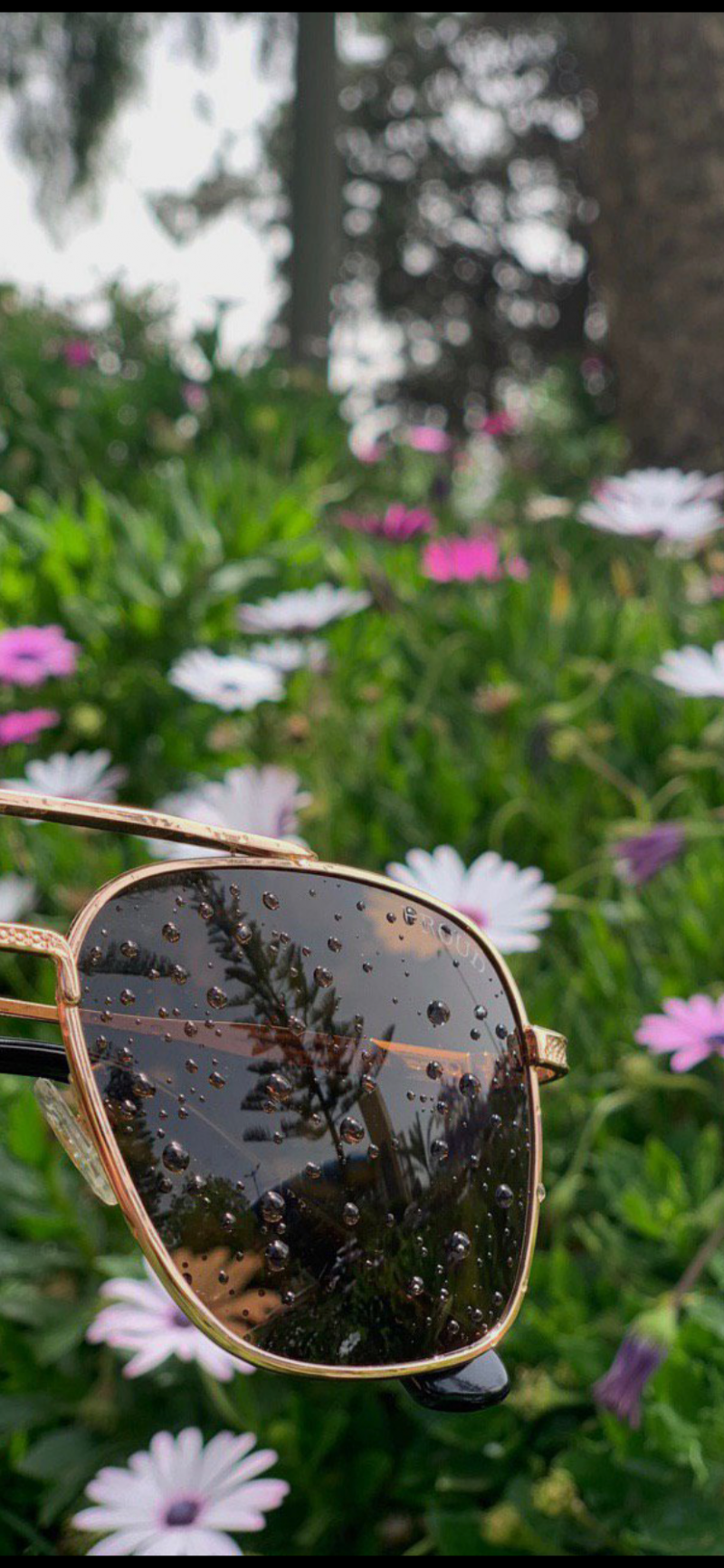 رباب القحطاني