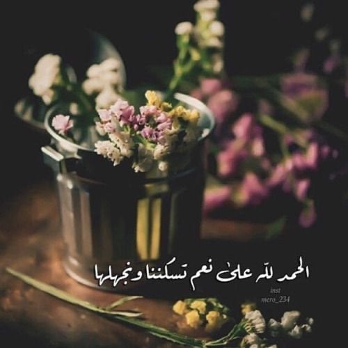 سوما العنزي