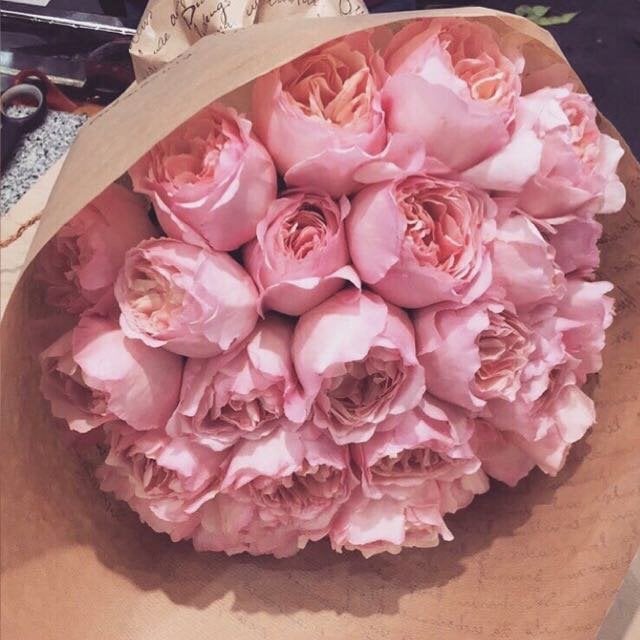 ساره الميموني