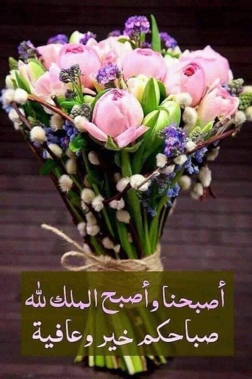 سماح الحسين