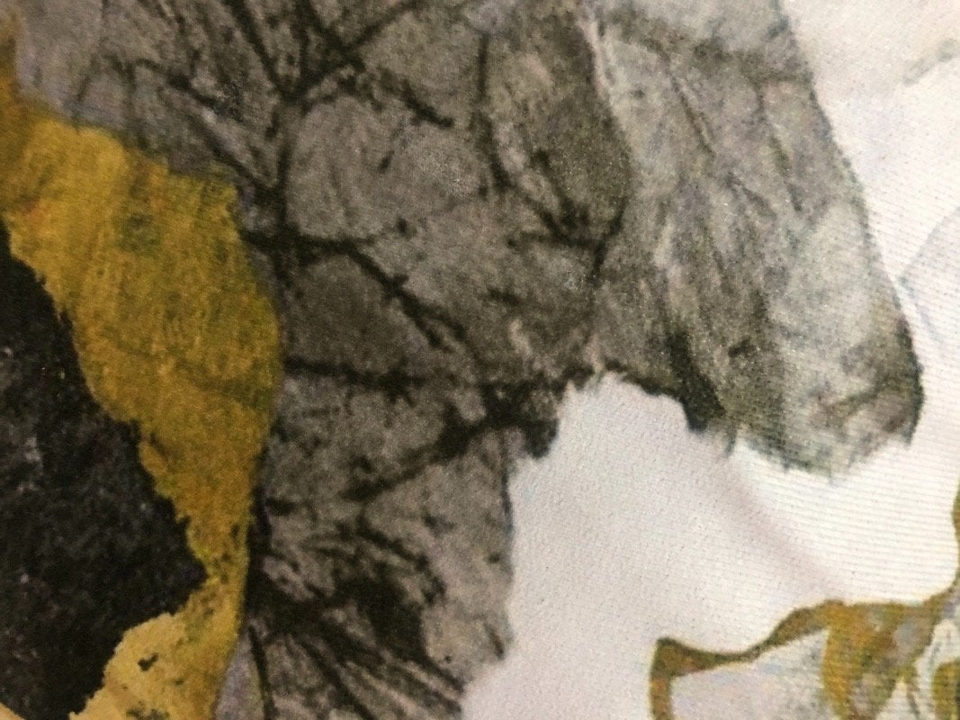 ابتسام الشمري