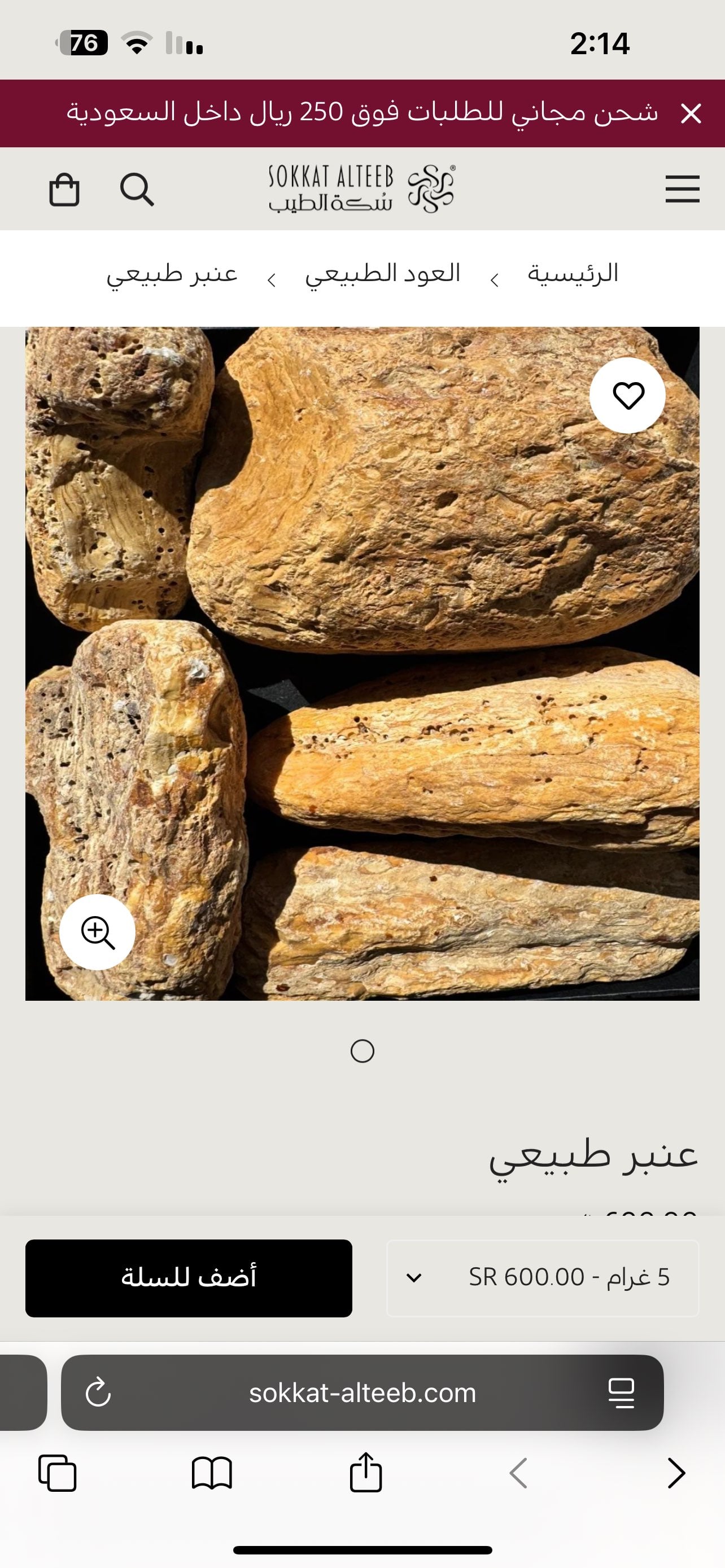 بكر الرشيدي