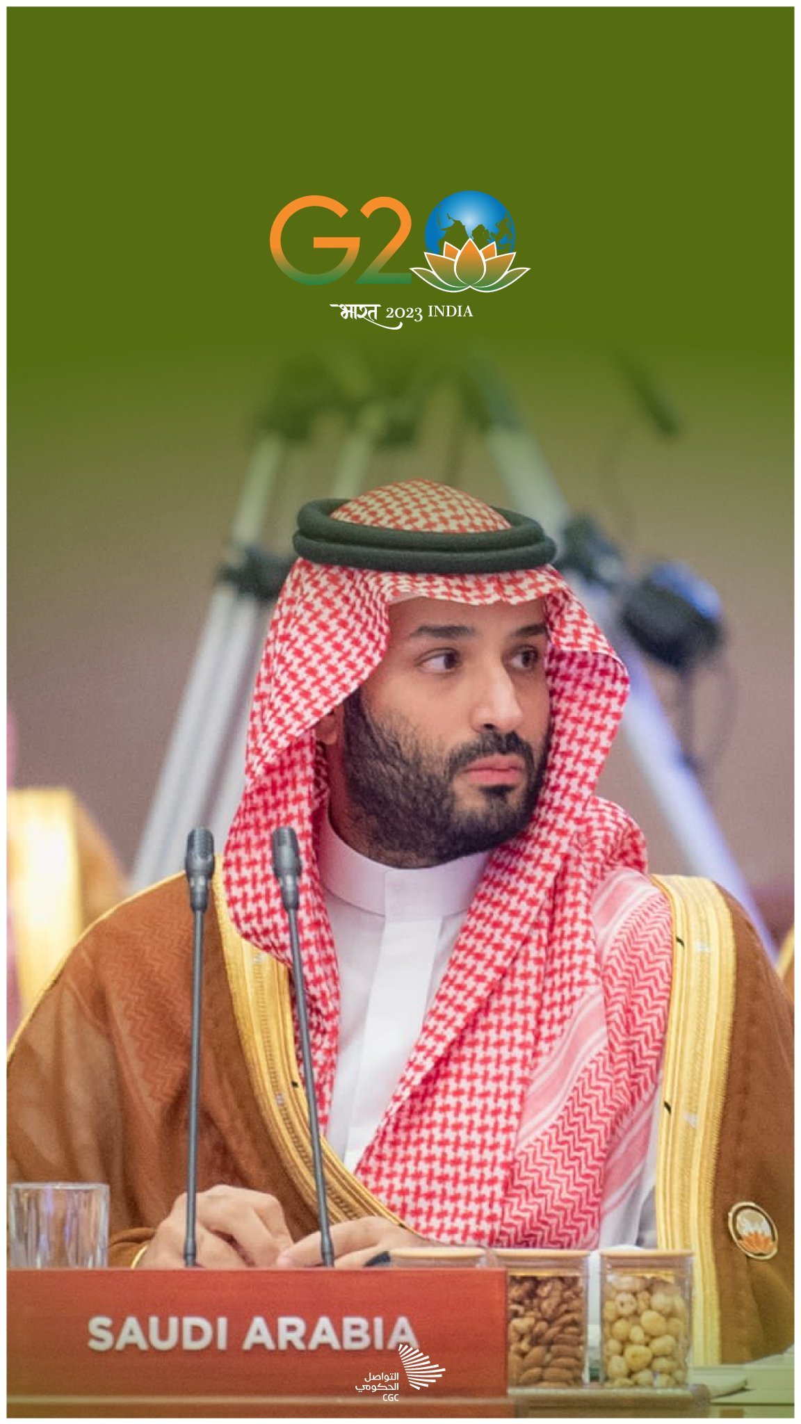 سالم الحليو