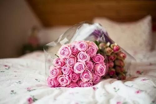 فريدة النابلسي