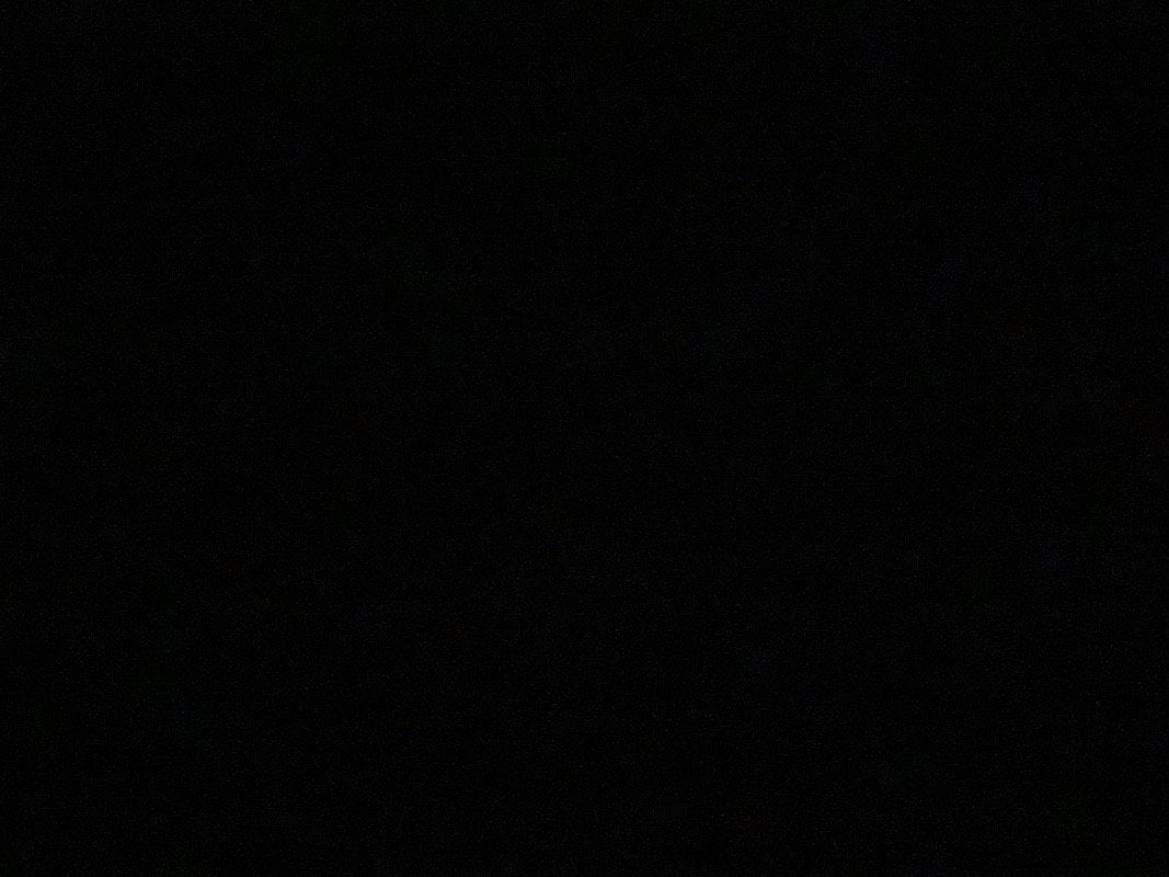 ماجد الحربي