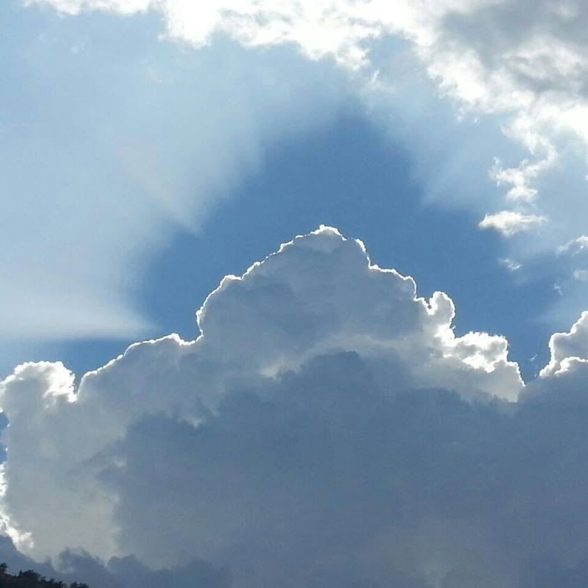 ابو محمد المباركي