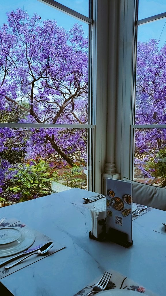 حنان المالكي