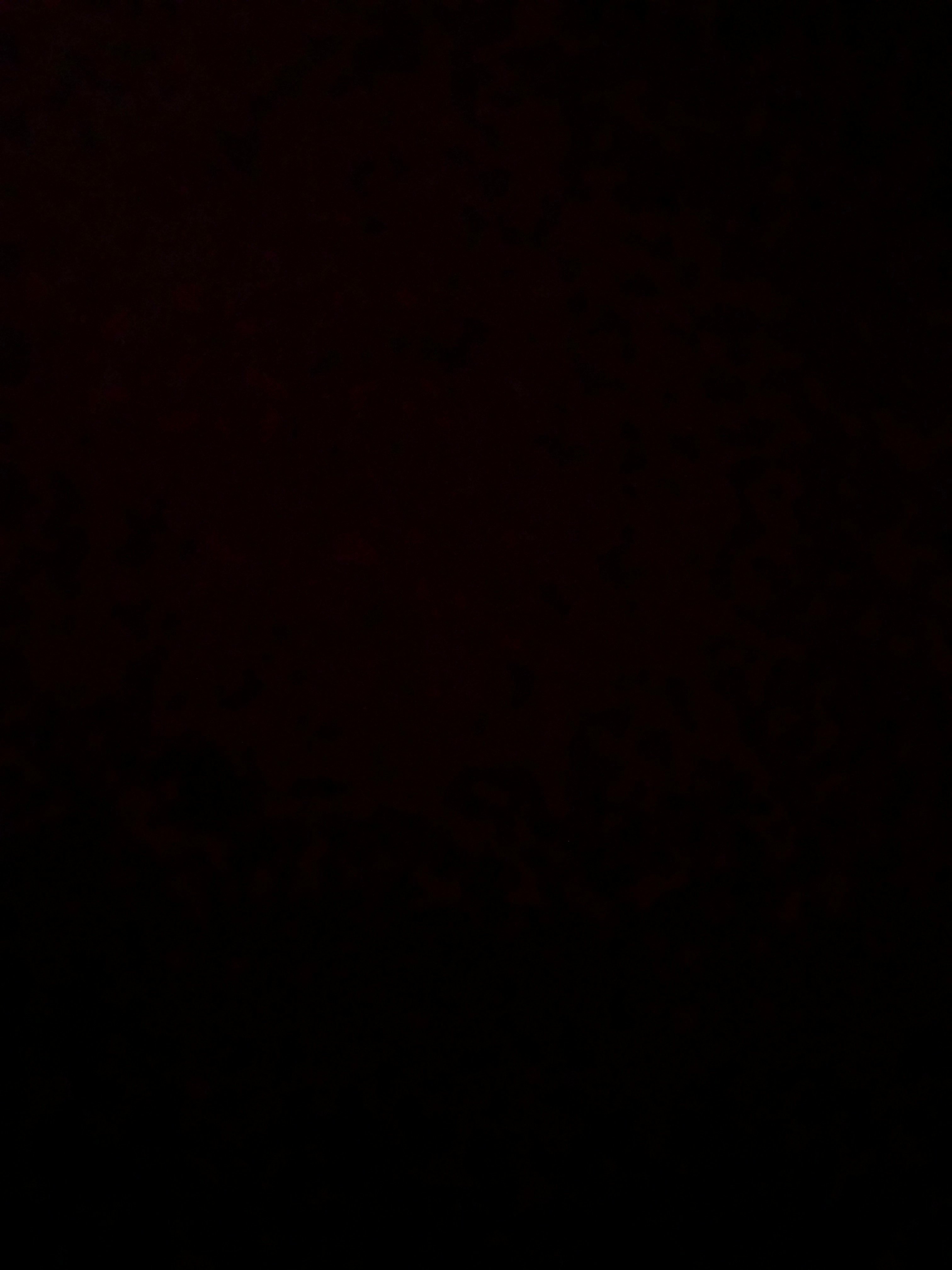 عبدالله محمد