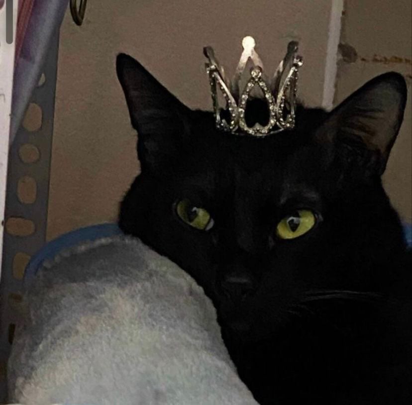 غدي العسيري