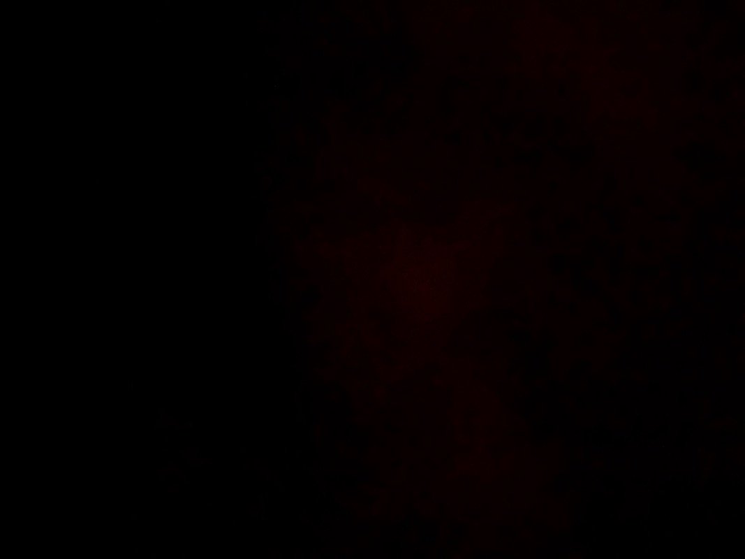 فوزية غزواني