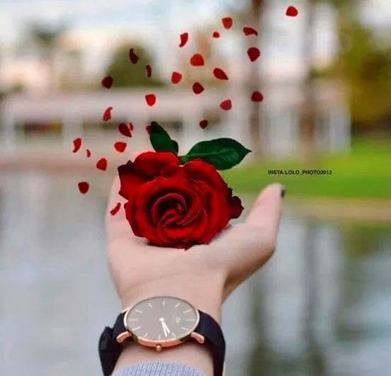 خديجه العمري