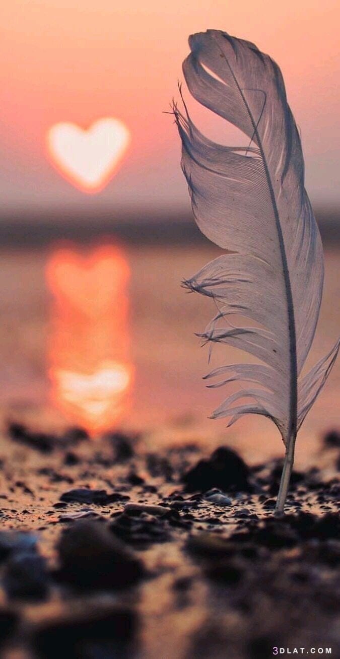 خالد غزواني