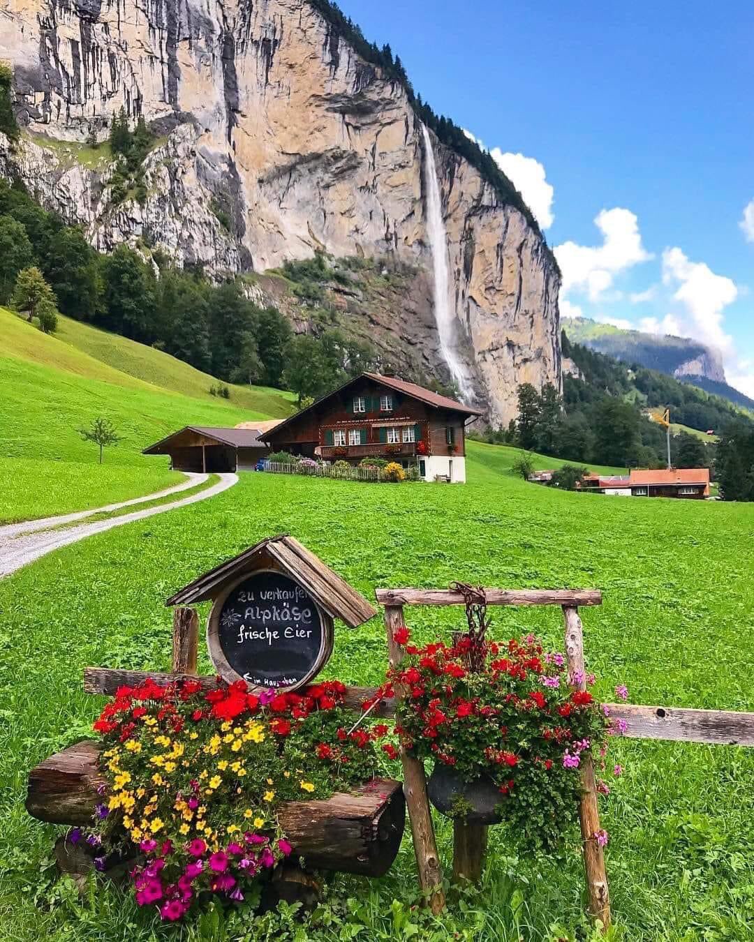 ابراهيم المطيري