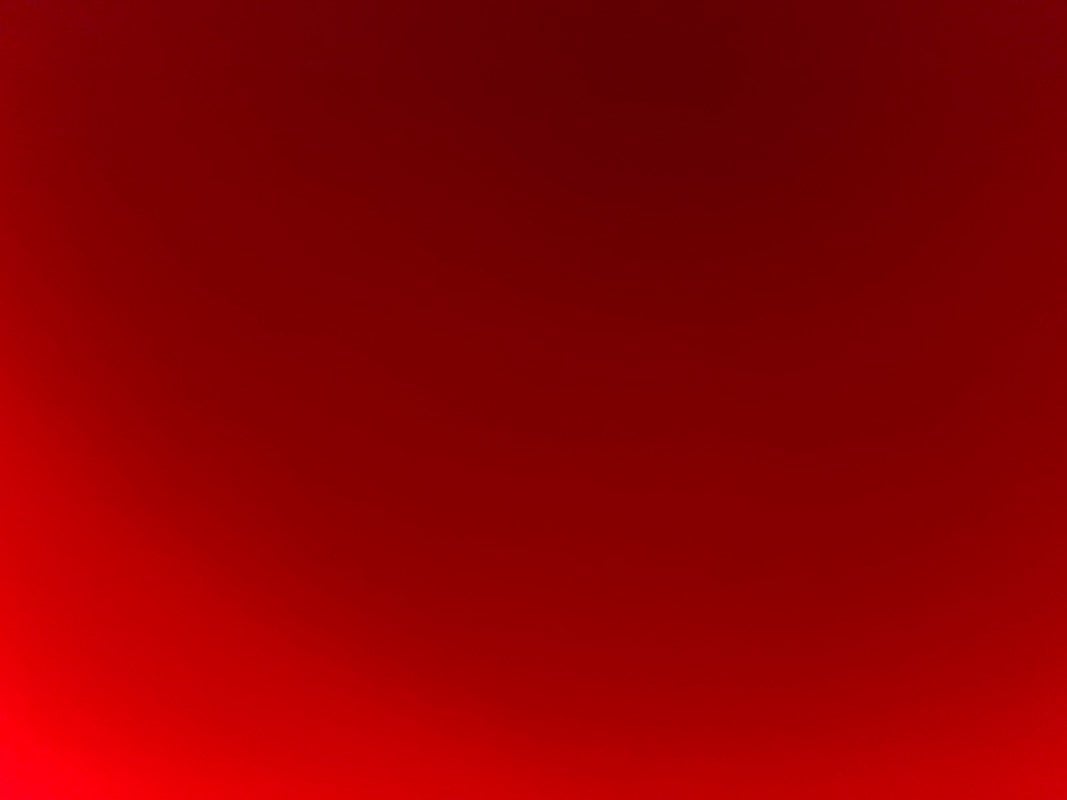 مريم الفيفي