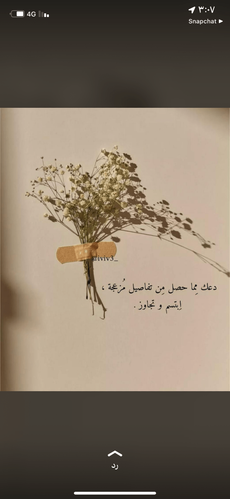 عهد العنزي