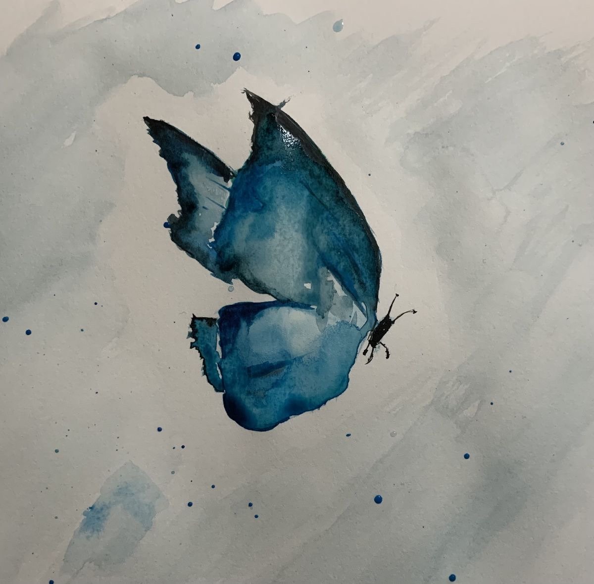 اميره المطيري