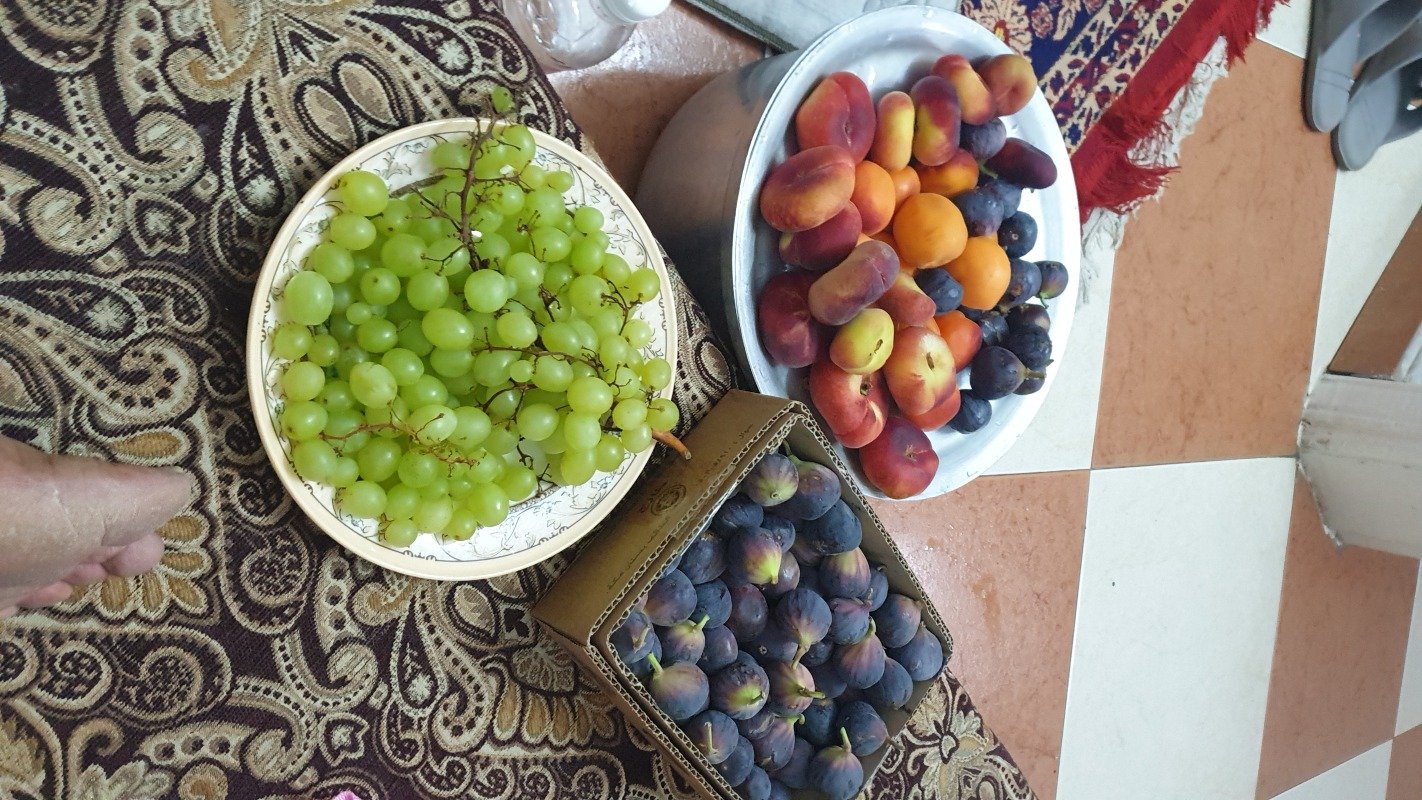 محمد الحكمي