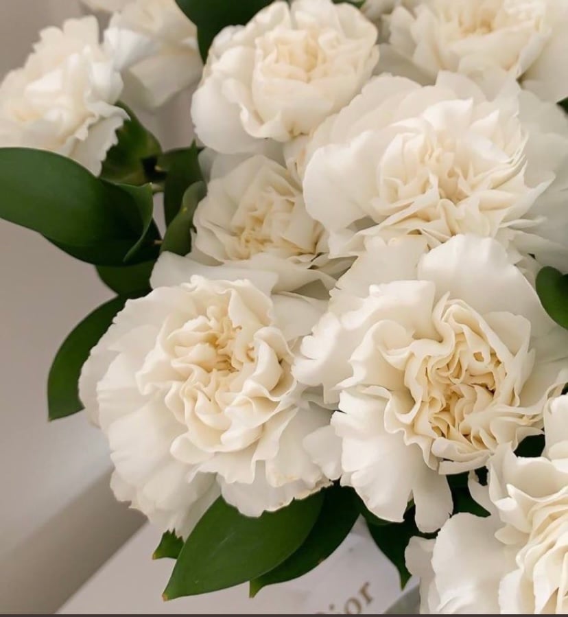 عتقاء المطيري