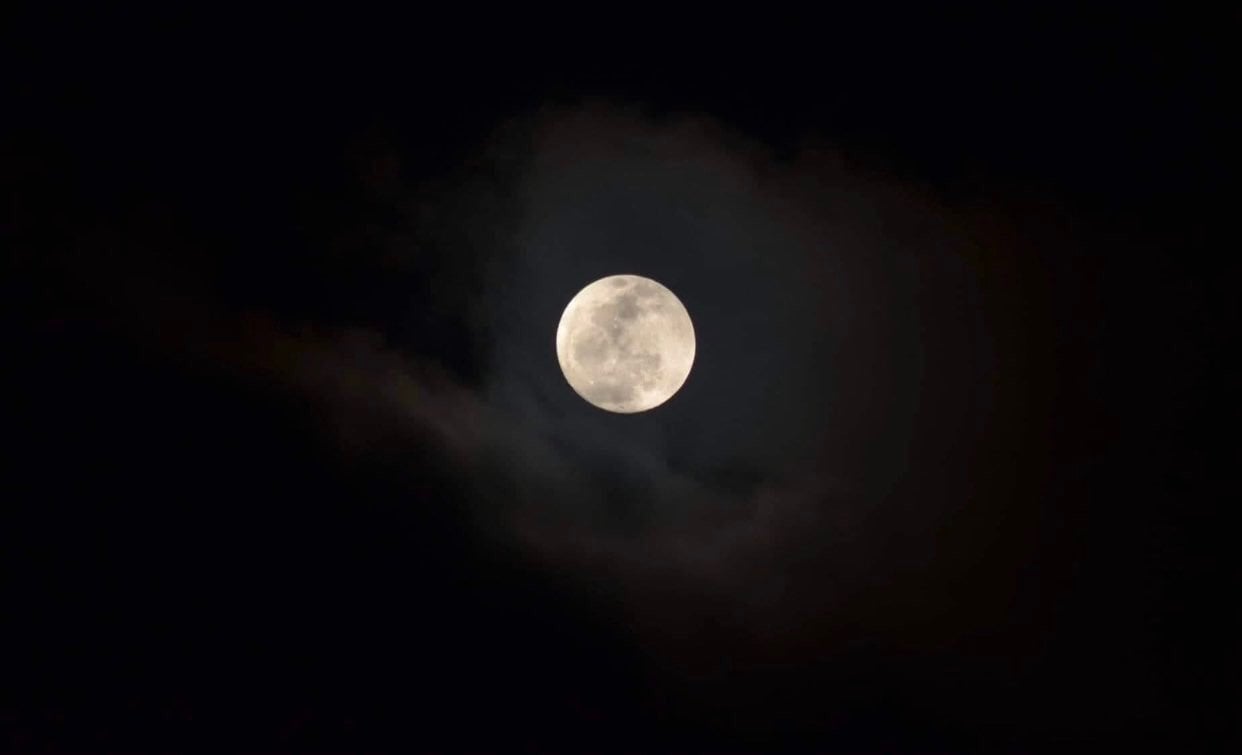 اروى العنزي