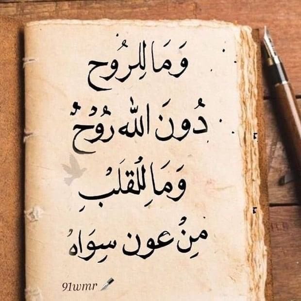 معالي .