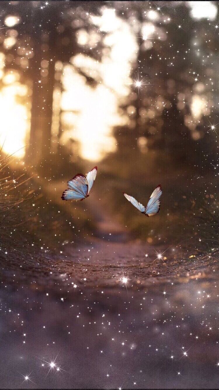 فاطمة الحربي