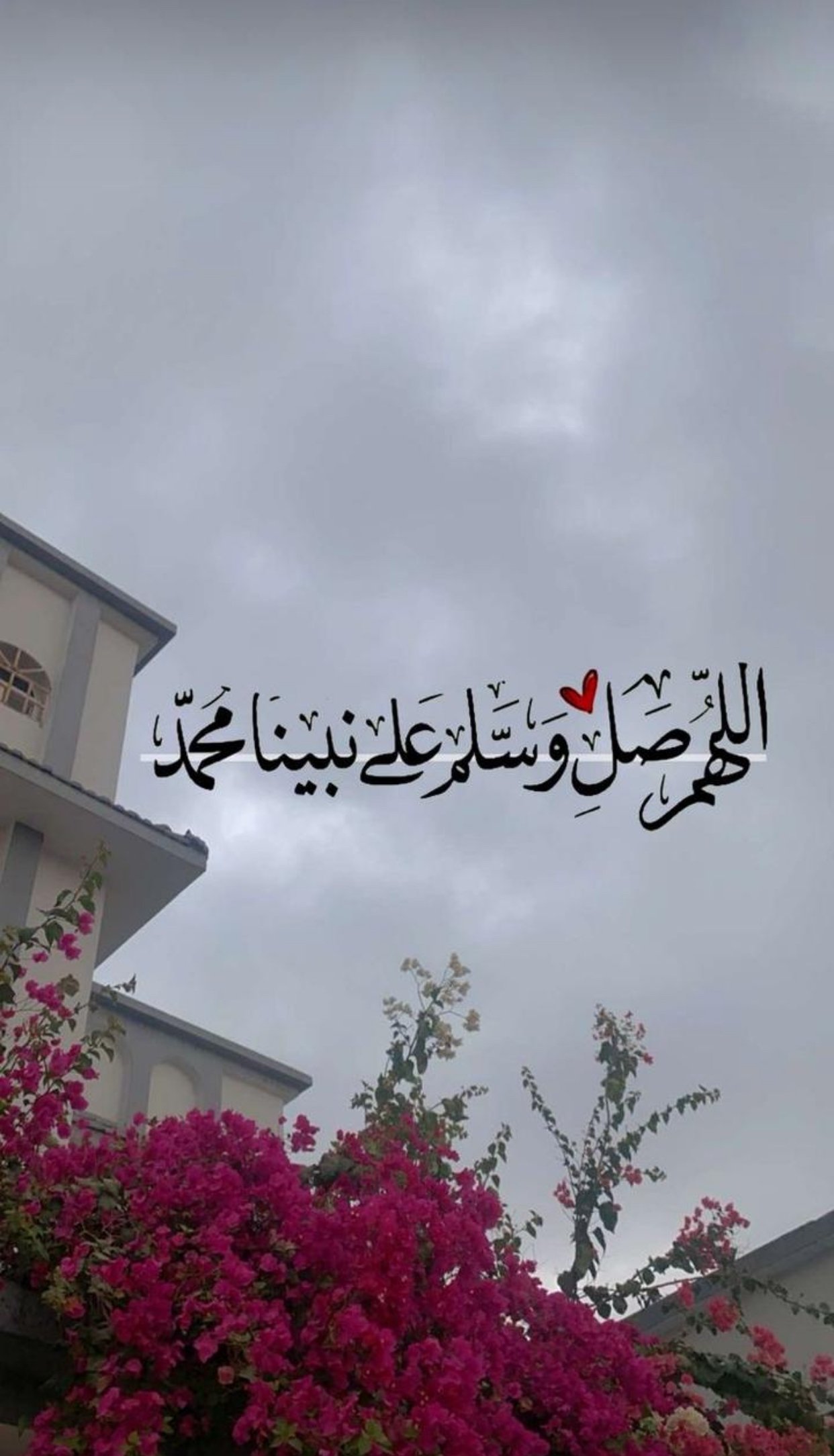 ام سيف العنزي