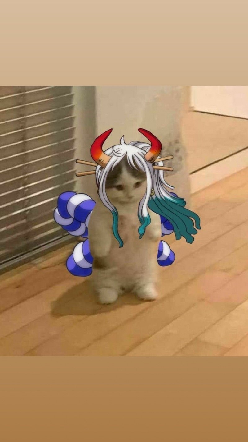 مشاري الضويحي