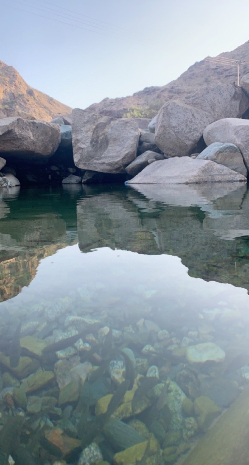 سليمان محمد ال مخالد