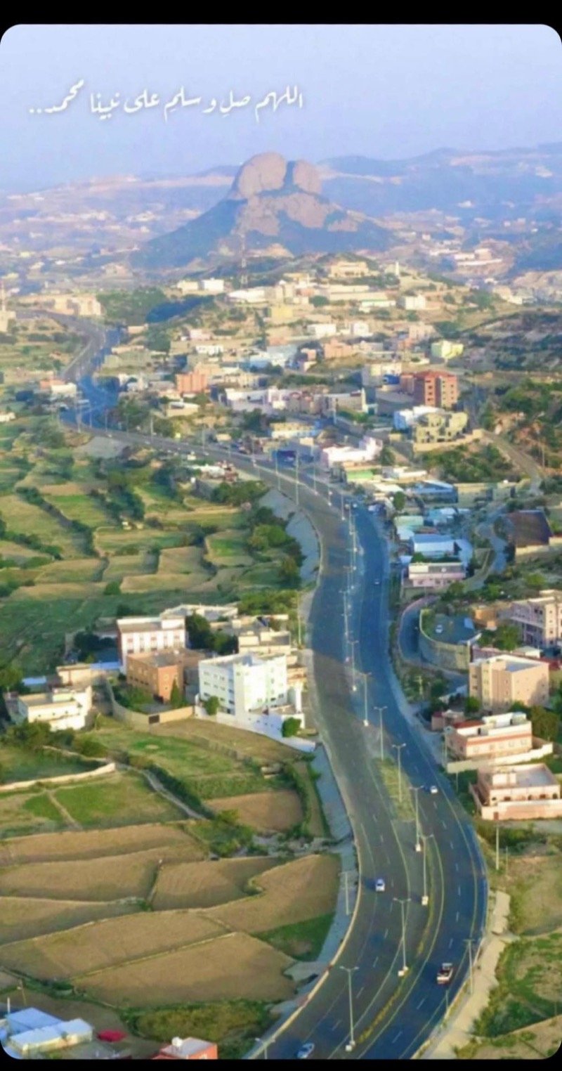 عمر ال حاظر