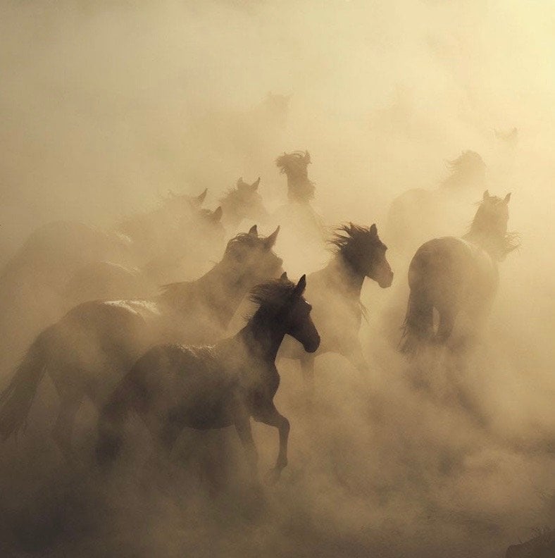 ريما عبدالله العبدالكريم